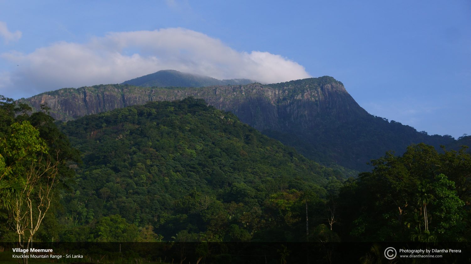 37350830_283015122471861_6493670146991718400_n