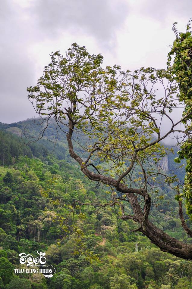 38428677_310076549765718_215916965271699456_n